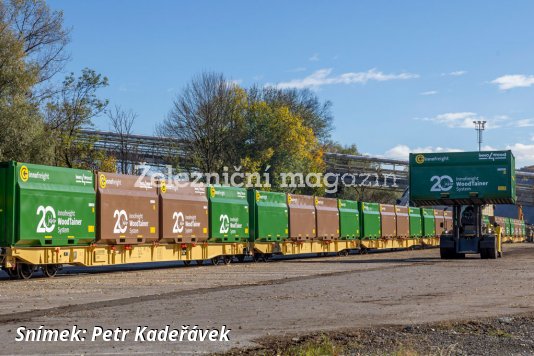 20 let WoodTainerů